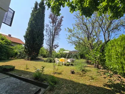 Momira Korunovića | 4zida.rs