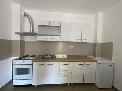 Petra Drapšina | 4zida.rs