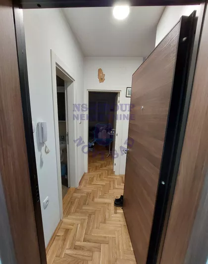 Salajka | 4zida.rs