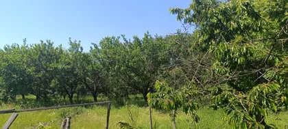 Beljin | 4zida.rs