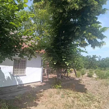 Maršala Tita | 4zida.rs