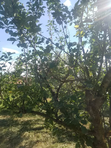 Kubršnička 24 | 4zida.rs