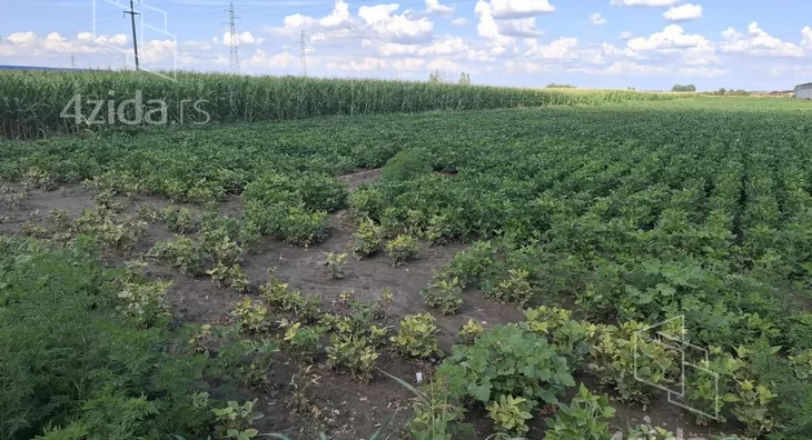 Poljoprivredno zemljište | 4zida