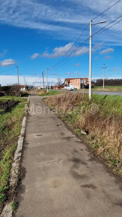 Pukovnika Milenka Pavlovića | 4zida.rs