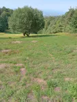 Poljoprivredno zemljište | 4zida