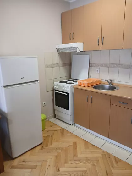 Dr Svetislava Kasapinovića | 4zida.rs