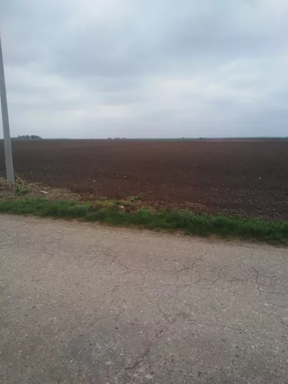 Široki Put | 4zida.rs