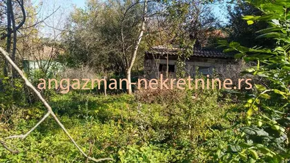 Bačevica | 4zida.rs