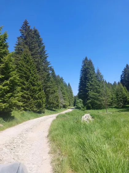 Crna Glava | 4zida.rs