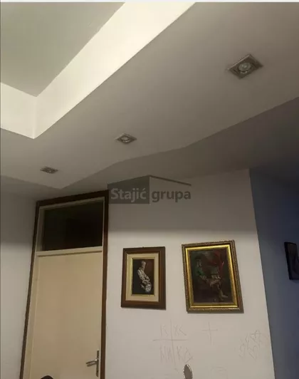 Dr Ivana Ribara | 4zida.rs