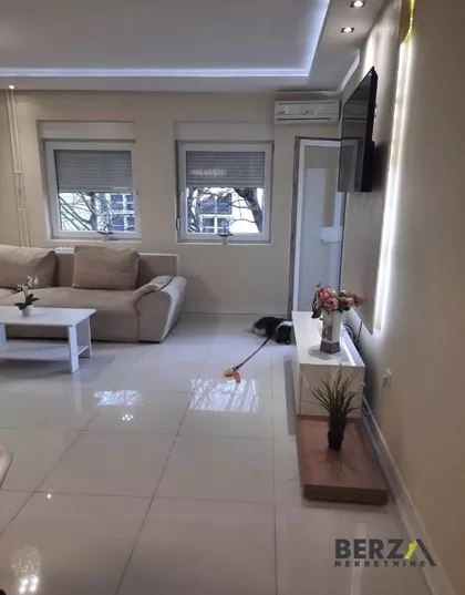 Rotkvarija | 4zida.rs