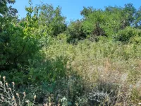 Avala, Beli Potok, Voždovac opština, Beograd | 4zida.rs