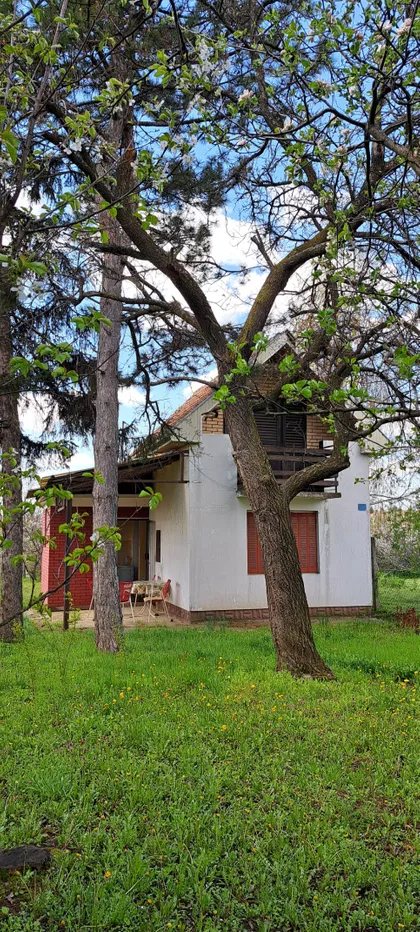 Čortanovci | 4zida.rs