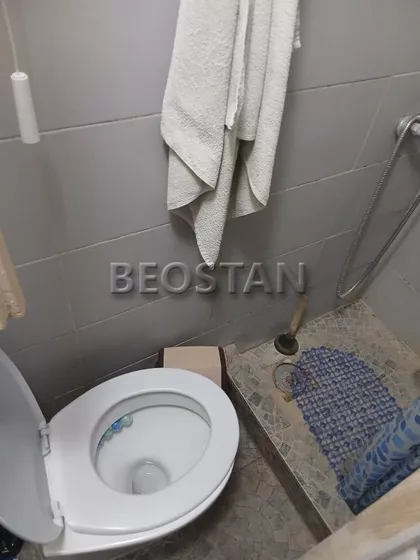 Sibinjanin Janka | 4zida.rs