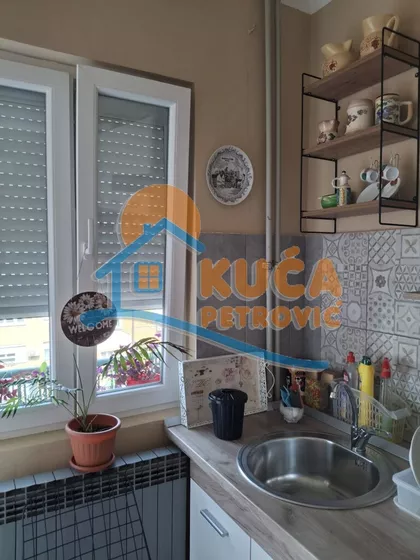 Bulevar dr Zorana | 4zida.rs