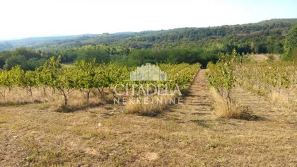 Živkovci | 4zida.rs