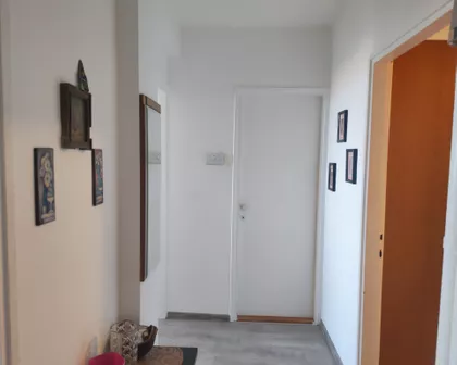 Bulevar Nikole Pašića | 4zida.rs