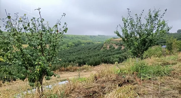 Poljoprivredno zemljište | 4zida