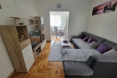 Janićija Živanovića