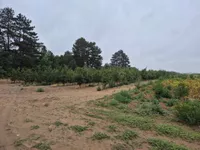 Poljoprivredno zemljište | 4zida