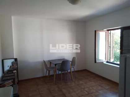 Živka Davidovića | 4zida.rs