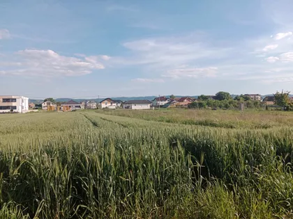 Anastasa Bocarića | 4zida.rs