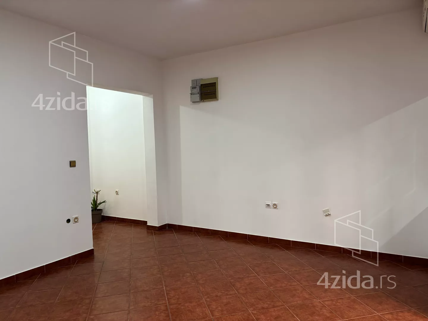 Lokal | 4zida