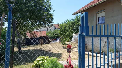 Pločnička 1B | 4zida.rs