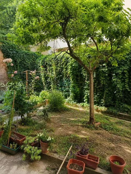 Topličin Venac | 4zida.rs