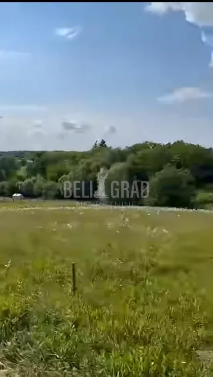 Despota Stefana Lazarevića | 4zida.rs