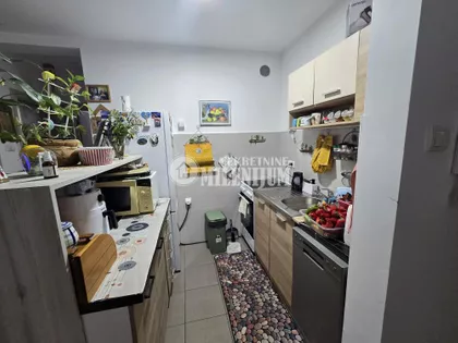 Đorđa Čutukovića | 4zida.rs