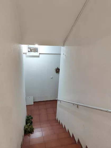 Bulevar Patrijarha Pavla (Somborski Bulevar) | 4zida.rs