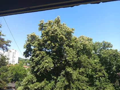 Milana Blagojevića-Španca 1 | 4zida.rs