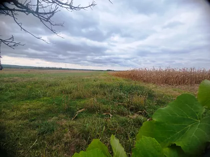 Vuka Karadžića | 4zida.rs