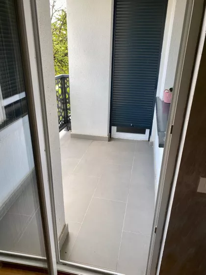 Svetozara Radojčića | 4zida.rs