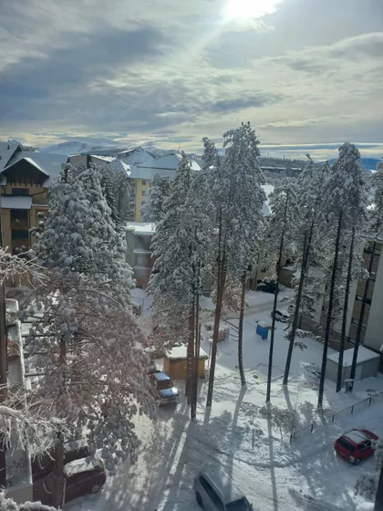 Dobrivoja Mojovića | 4zida.rs