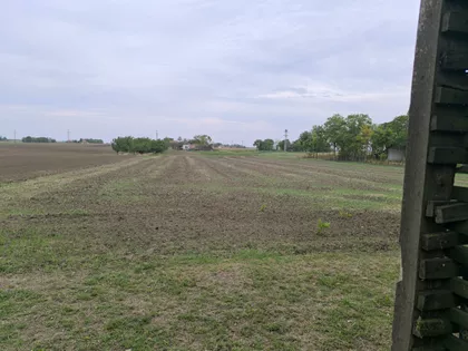 Bikovo | 4zida.rs