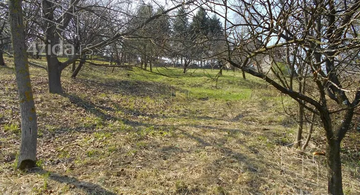 Plac | 4zida