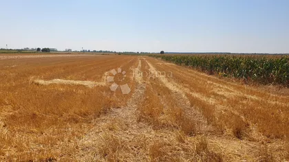 Grmovačka | 4zida.rs