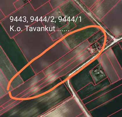 Gornji Tavankut 1534A | 4zida.rs