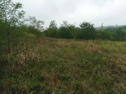 Mali Požarevac | 4zida.rs