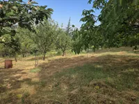 Sremska Kamenica, Gradske lokacije, Novi Sad | 4zida.rs
