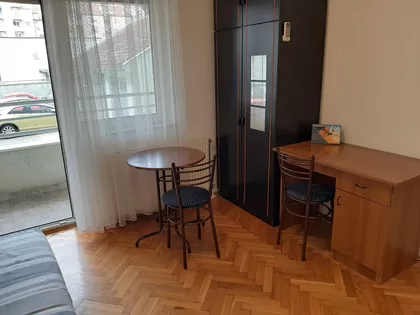 Dr Svetislava Kasapinovića | 4zida.rs