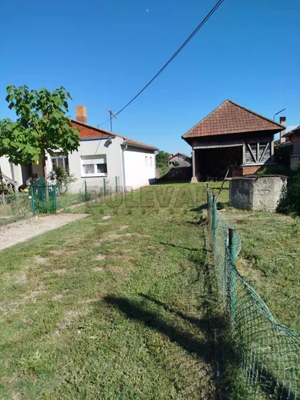 Patrijarha Dimitrija | 4zida.rs