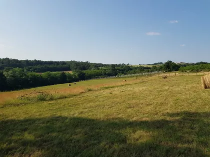 Kosmajska | 4zida.rs
