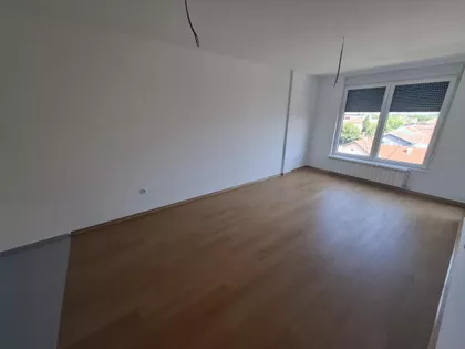 Salajka | 4zida.rs