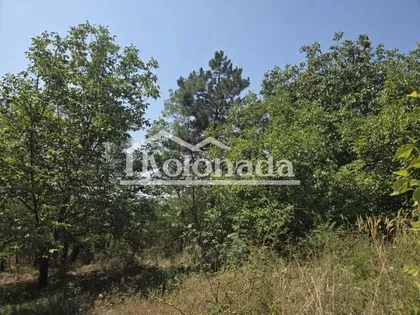 Popović | 4zida.rs