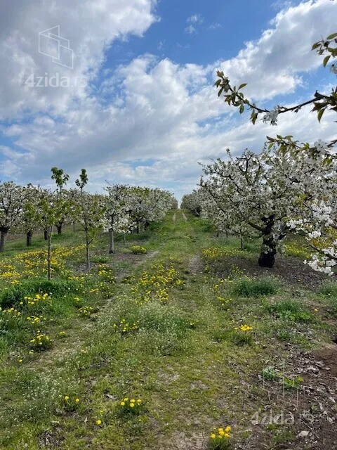 Poljoprivredno zemljište | 4zida