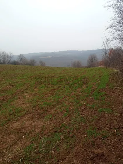 Boževac | 4zida.rs