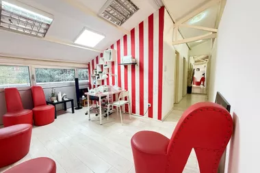 Patrijarha Joanikija